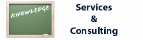 Services/Consulting Services/Consulting