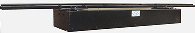 Pax 25-EDG-250