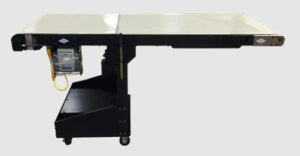 Pax Drum Motor Conveyor