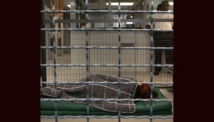 photo of a WireCrafters Supervised Temporary Holding Cell